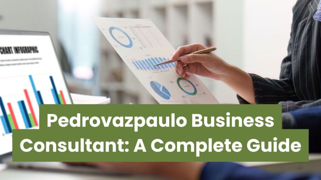 Pedrovazpaulo Business Consultant: A Complete Guide
